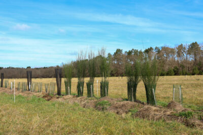 Agrandir l'image 1 sur 3, fenêtre modale