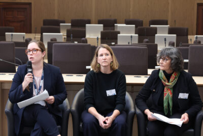 Agrandir l'image 3 sur 3, fenêtre modale